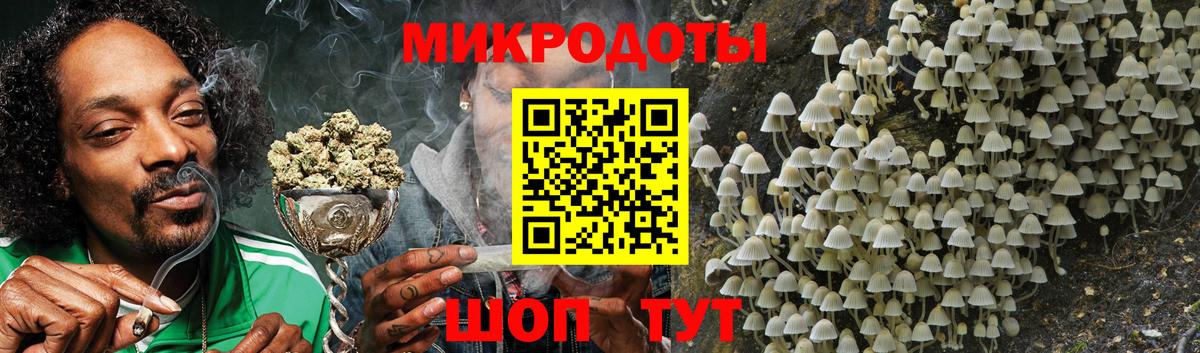 Калач-на-Дону  Псилоцибиновые грибы MAGIC MUSHROOMS  Вход с VPN 