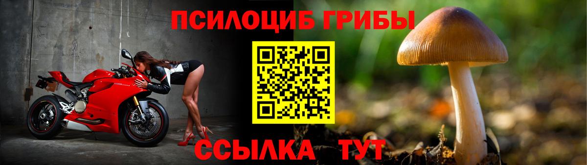 APVP Калач-на-Дону